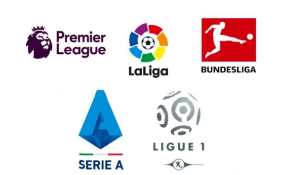 大大增强了 大大增强了